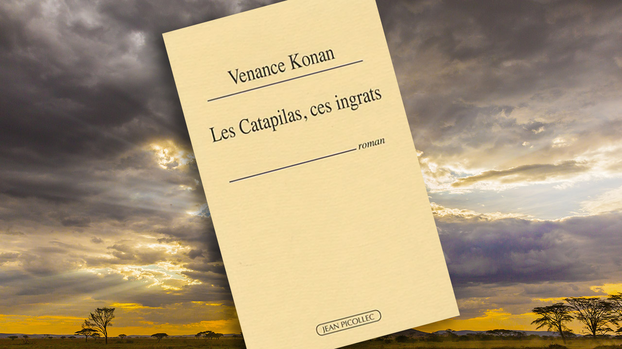 Le conflit ivoirien vu par un « afro-sarcastique »