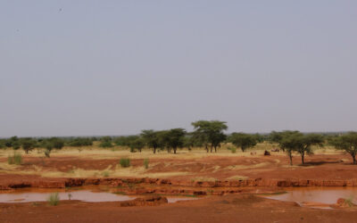 Mali : l’indécision française peut-elle déboucher sur la création d’un « Sahélistan » ?