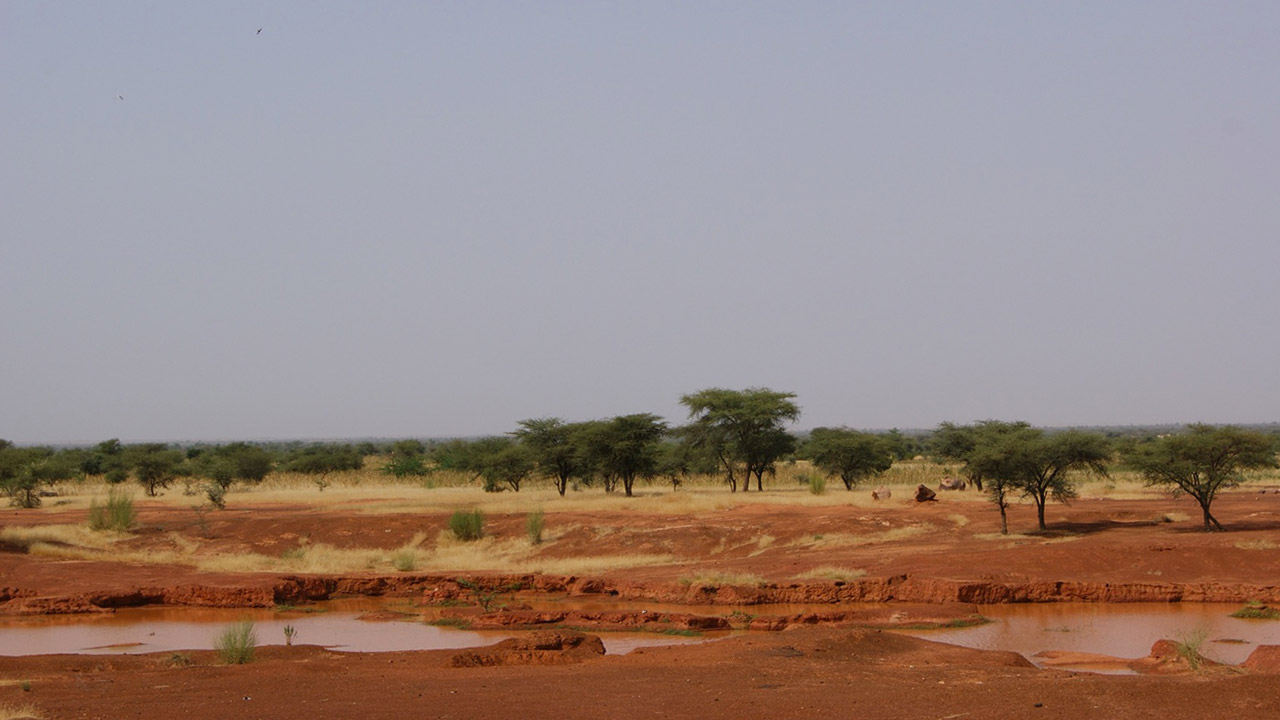 Mali : l’indécision française peut-elle déboucher sur la création d’un « Sahélistan » ?