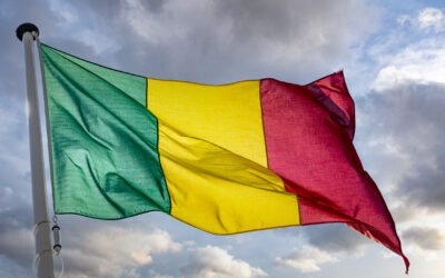 Mali et Tunisie : la guerre menée par le wahhabisme ne fait que commencer