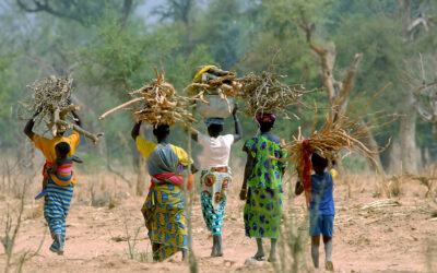 Au Mali, les ethnies sont-elles des créations françaises ?