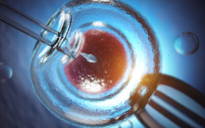 PMA : La politique de gribouille du gouvernement