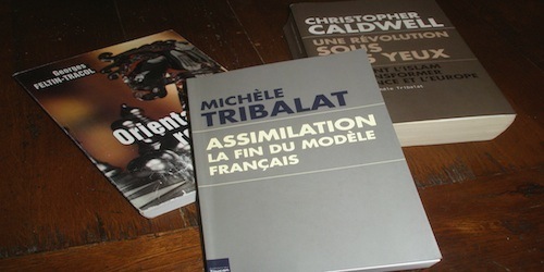 « Assimilation/ La fin du modèle français » de Michèle Tribalat (une deuxième analyse)