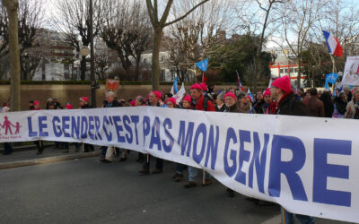 La dernière Manif pour tous est un franc succès