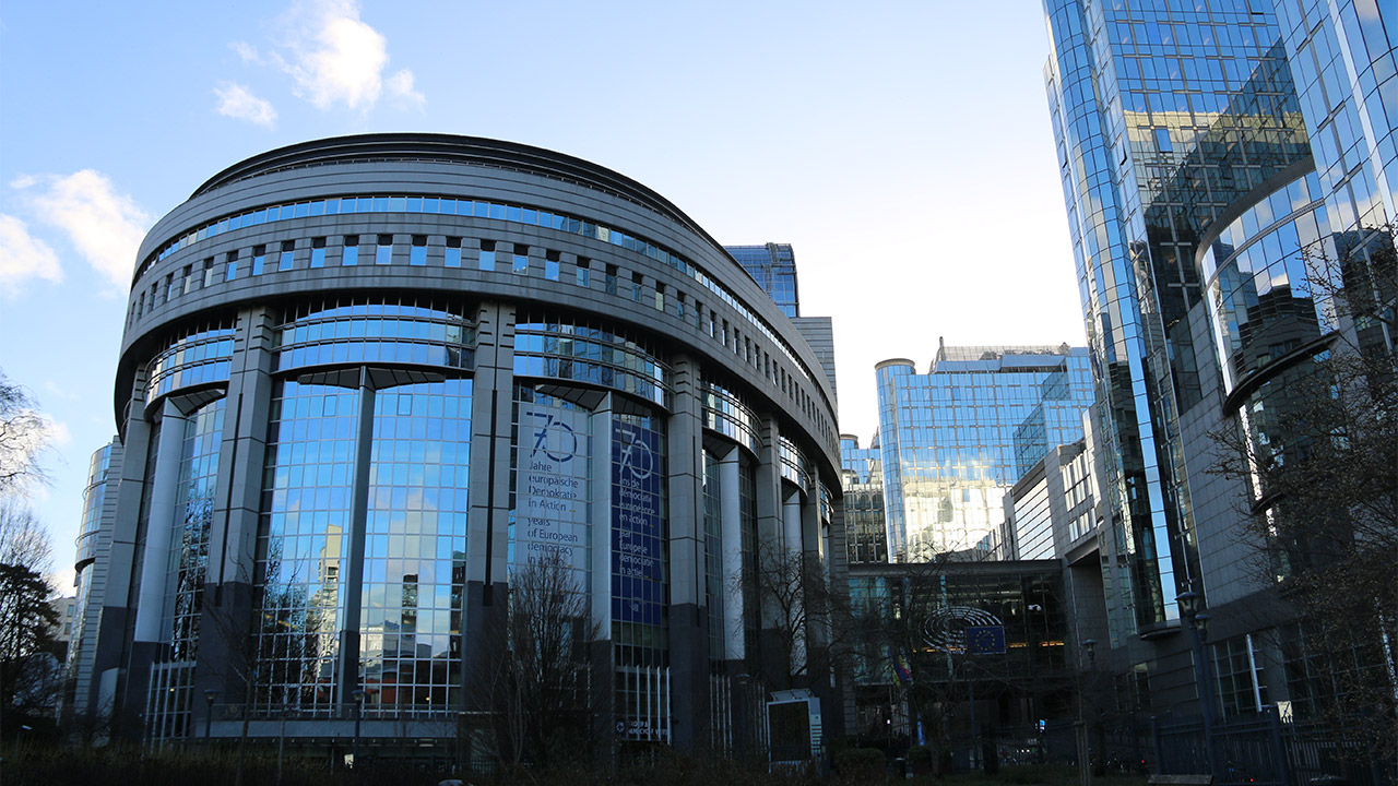 Le grand déracinement