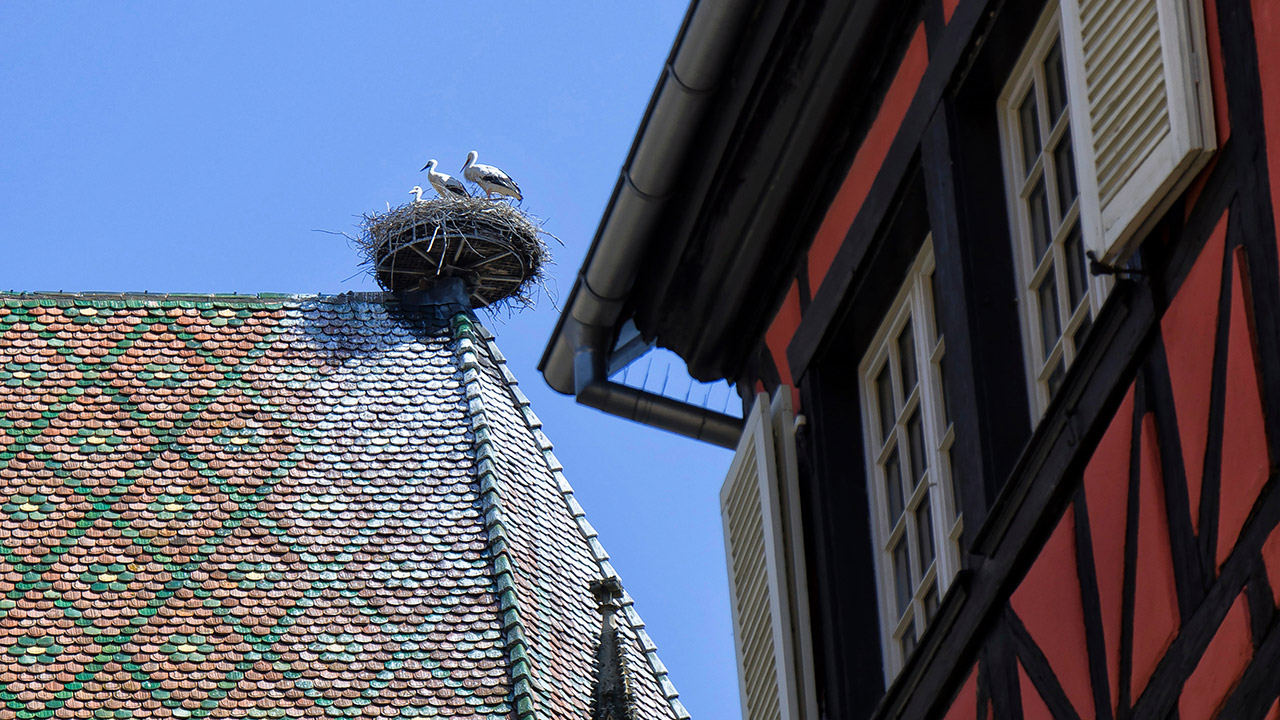 Conseil unique d’Alsace