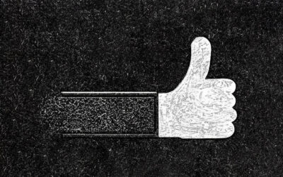 Bravo les frères Kouachi : le terrorisme cela paye !