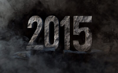 2015, année radicale, donc année décisive