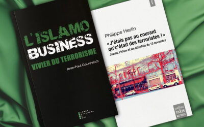 Un peu d’islamologie pour 2017