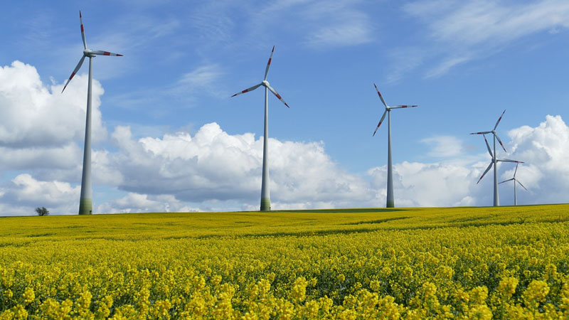 L’escroquerie éolienne
