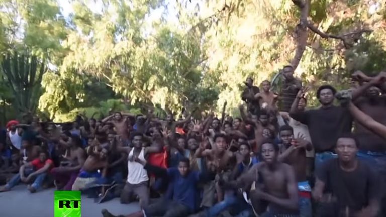 La France subit-elle une immigration de peuplement ?