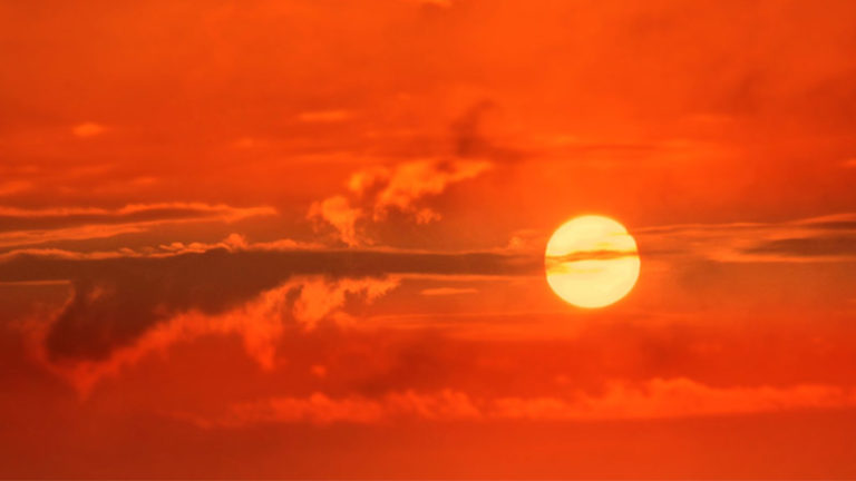 Hystérie caniculaire et dictature climatique