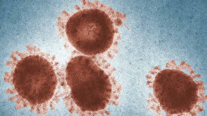 Nicolas Faure : « Sur le Coronavirus, les spécialistes se sont plantés en beauté ! »