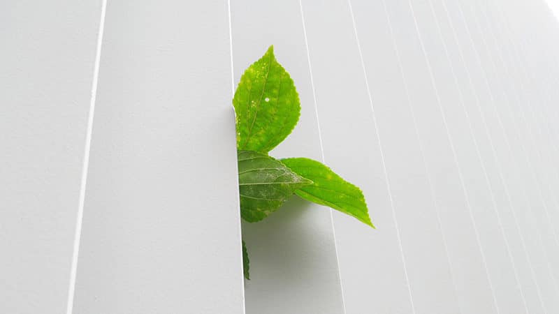 L’idéologie « verte » comme nouvel avatar de la fracture sociale