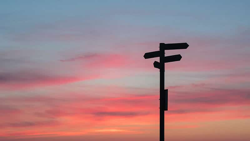 Assimilation, séparation ou remigration ?