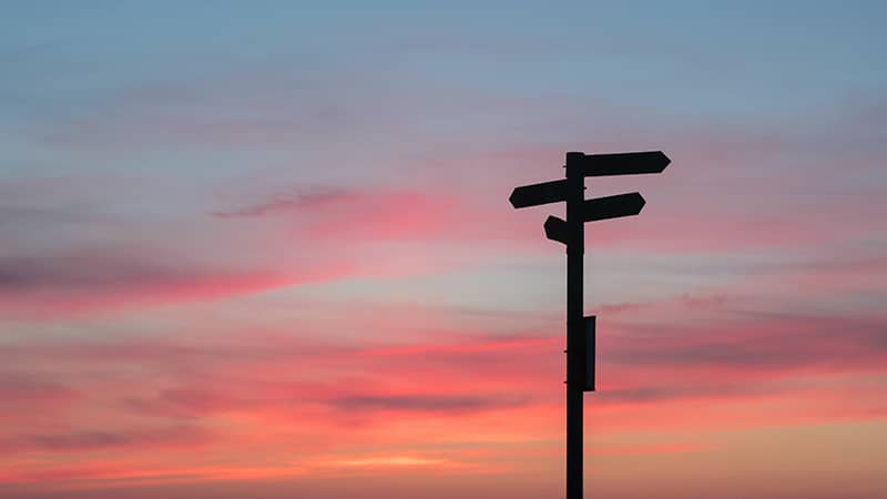 Assimilation, séparation ou remigration ?
