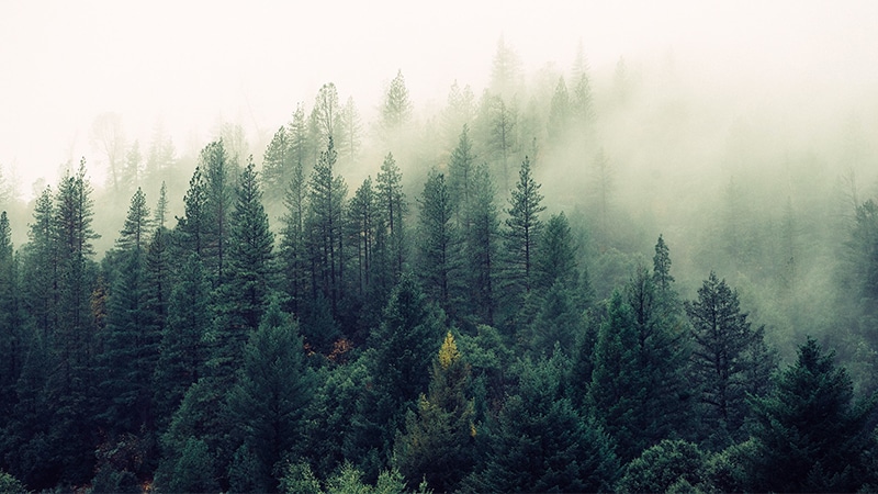 Référendum « écologiste » : quand « effet de serre » rime avec « autoritaire »