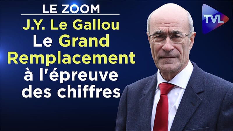 Le Grand Remplacement à l'épreuve des chiffres - Le Zoom - Jean-Yves Le Gallou