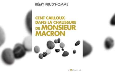 Rémy Prud’homme, l’homme qui sème « cent cailloux » dans la chaussure de Macron