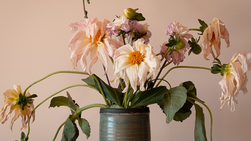 Infertilité, avortement, idéologie du genre… L’occident en plein nihilisme