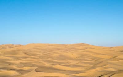 Complexe d’infériorité, revendication sur le Sahara… vers une guerre Algérie-Maroc ?