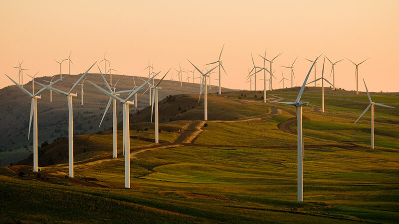Abandon du nucléaire et hausse de l'éolien, la transition énergétique allemande pose question