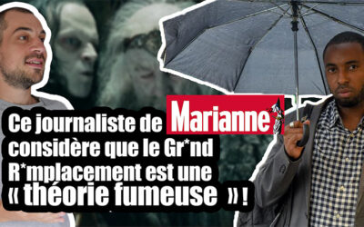 Grand Remplacement. Les mensonges d’un journaliste de Marianne