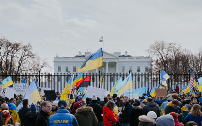 Ukraine : une guerre si parfaite, par Bruno Mégret