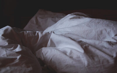 Les punaises de lit au pays des cloportes