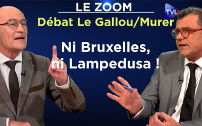 Submersion migratoire : quels sont les recours ? Débat Le Gallou-Murer