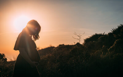 Des indices de fécondité différenciés selon les communautés d’origine : facteurs et conséquences