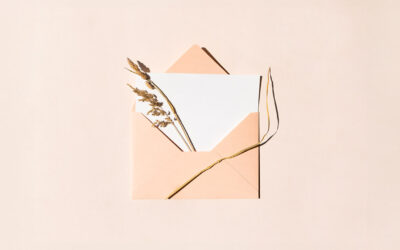 Chronique d’été…