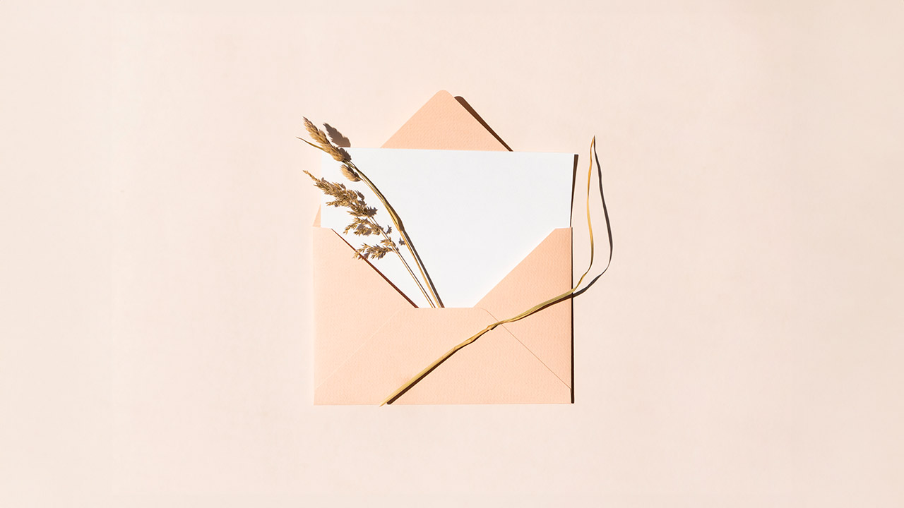 Chronique d’été…